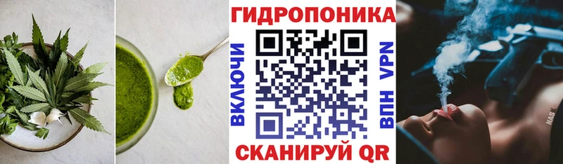 Cannafood конопля  Снежногорск 