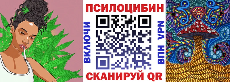 где купить   Снежногорск  Псилоцибиновые грибы мицелий 
